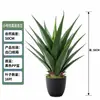 Planta de simulación de agave, sisal, corona de orquídeas, combinación de macetas, paisaje de interior, plantas verdes, accesorios, adornos, venta al por mayor