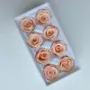 Flores Eternas, Rosas Multicores, Materiais de Flores Preservadas Feitos à Mão, Cabeças de Flores de Rosa Grau B, Flores Eternas Floyd, Materiais para DIY