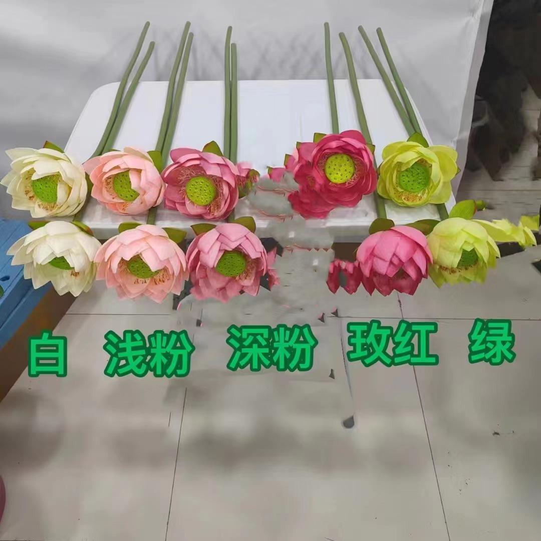 a54528b379470fb02a4d4d8e8316bd