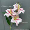 Simulação de impressão 3D 3 grande Lily casamento decoração suave falsa flor sala de estar exibir adereços única mão-sentimento filme Lily