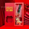 Pingente Chave de Ouro do Ano do Cavalo, Chaveiro da Riqueza Instantânea, Ouro Puro 999, Pingente de Bolsa, Brinde de Promoção para Transmissão ao Vivo