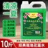 Agua de Tocador Altamente Concentrada Barril Grande Hogareño Fragancia a Granel Spray para Trapear Agua de Inodoro Antibacteriano Hotel Repelente de Mosquitos e Insectos