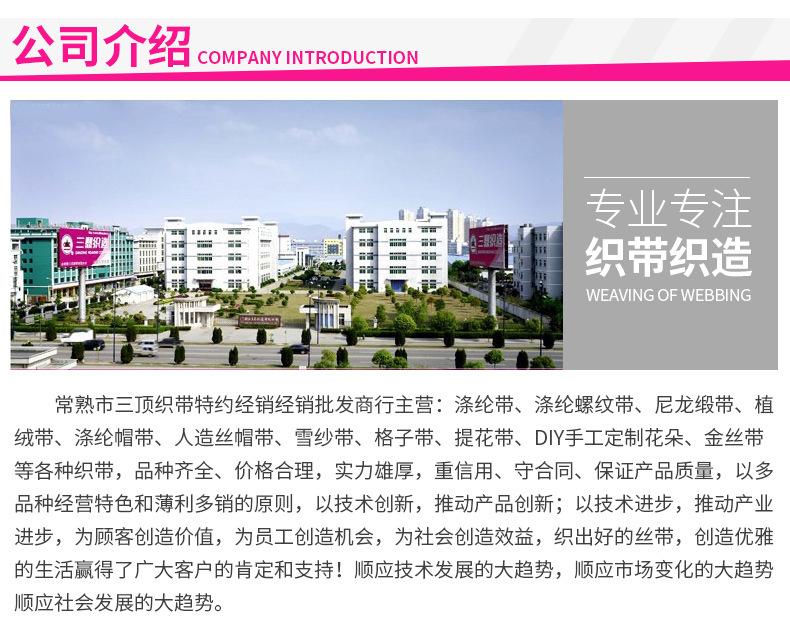 A5涤纶罗纹带_24.jpg