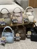 Bolsa de Mão Retrô Transfronteiriça para Mulheres Moda Primavera 2026 Bolsa Saco Design de Nicho Bolsa Transversal para Mulheres Conjunto