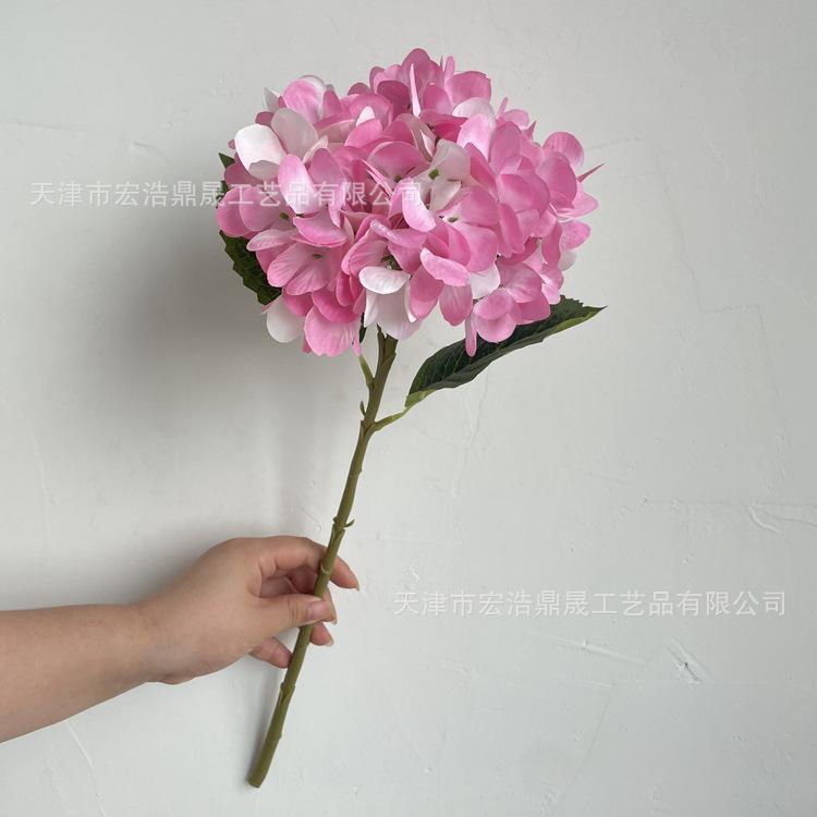 微信图片_202208191624157_副本