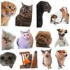 Paquete de Emoticonos Populares Divertidos Transfronterizos Imán de Nevera de Animales Gato Perro Hámster Pato Interesante Lindo Extraño Llorando Imán