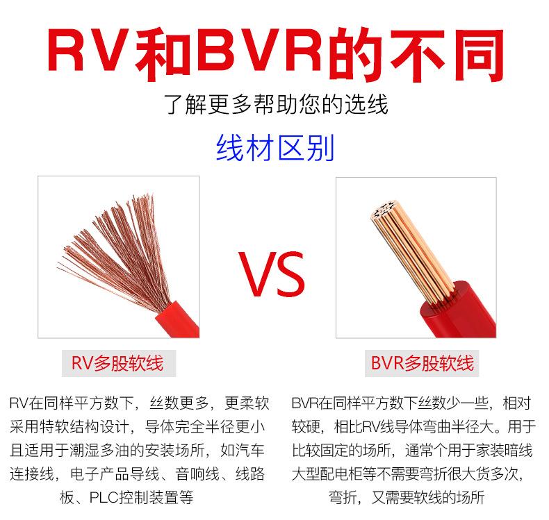 RV_02.jpg