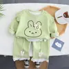 2025 Primavera Nuevo Estilo Suéter para Bebé Niña Camiseta Linda de Conejo para Niña Estilo Primavera y Otoño Fábrica de Origen