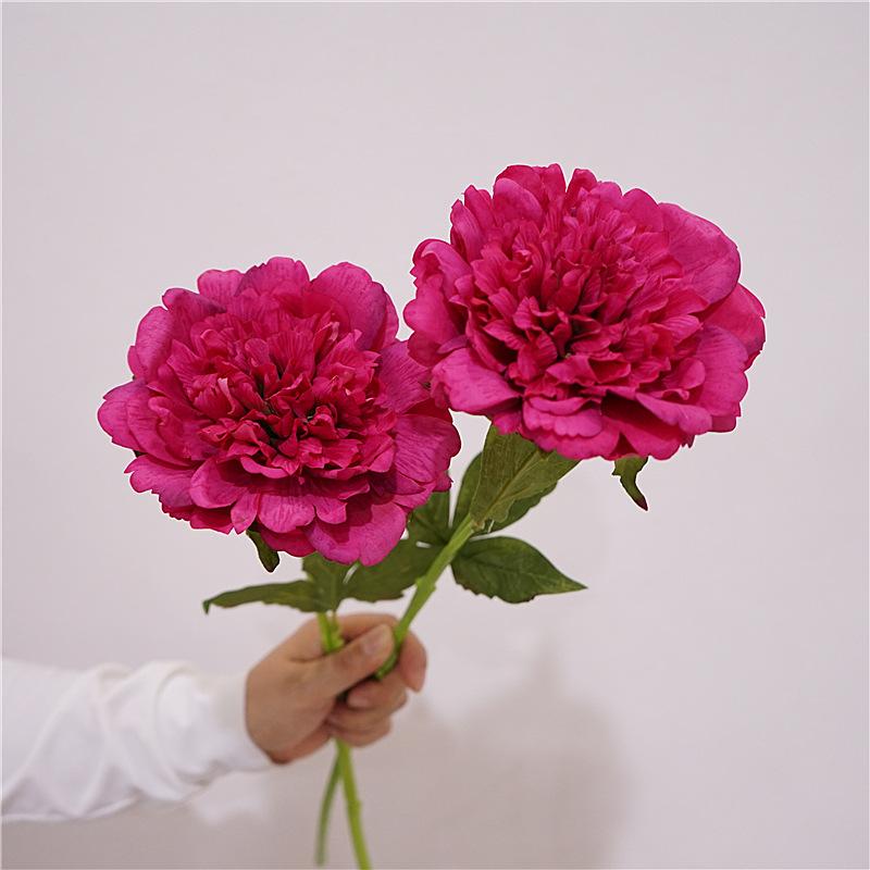 DSC06157_副本