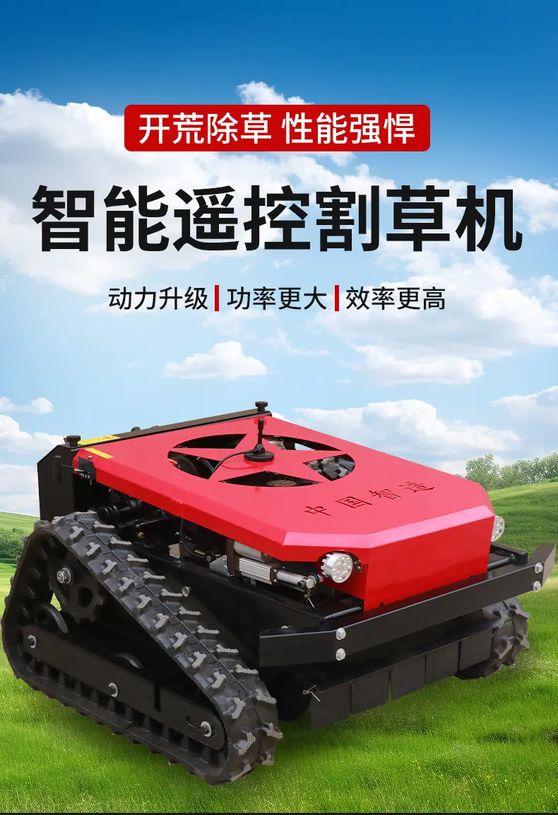 详情 (2)