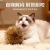 Juguete para Gatos Bola de Menta Resistente a Mordidas Ratón Mordedor Palo de Dentición Aliviar el Aburrimiento Set de Juguetes para Gatos Suministros de Juguetes para Mascotas