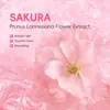 Laikou Esencia de Sakura 1.5ml Paquete de Prueba Loción Hidratante Productos para el Cuidado de la Piel Al por Mayor Dropshipping