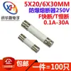 Fusible de cerámica 5X20/6*30mm 250V F Acción rápida/T Retardo de tiempo Antiexplosión Fusible de multímetro 2cm3cm