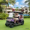 Carritos de Golf Todoterreno, Vehículos Turísticos para Recorridos, Ventas Directas de Fábrica, Transportes para Hoteles, Carritos de Golf de 4 Plazas