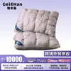 Núcleo de Almohada Nuevo Relleno de Plumón Retorcido Dormitorio Estudiantil Hogar Almohada para el Cuello Núcleo Estilo Caliente Transfronterizo