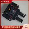 Botón de Control Antideflagrante Li Coal BZA1-5/36-2 Serie BZA10 Dos Botones Antideflagrantes