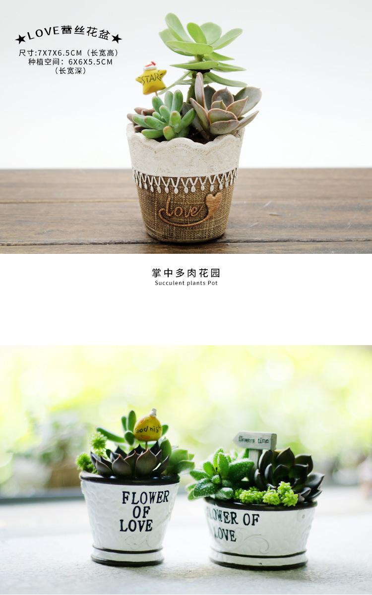 多肉花盆小号_06