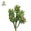 Simulación planta suculenta súper grande tamaño pequeño suculenta bonsái planta verde flor de plástico en maceta micro paisaje con pared vegetal