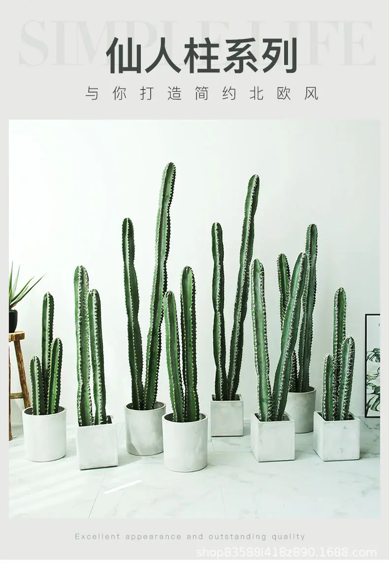 仙人柱系列_01.jpg