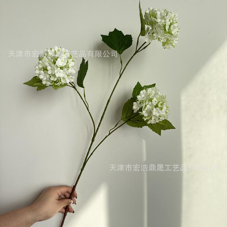 微信图片_202303091820175_副本