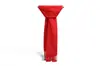 Venda por atacado de fábrica popular cachecol vermelho de veludo dupla face super macio com franja fina venda presente cachecol vermelho imitação de caxemira