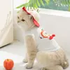 Ropa para Gatos para Primavera y Verano, Chaleco Delgado Anti-Caída con Sombrero para Gatitos, Perros Pequeños y Ropa para Mascotas
