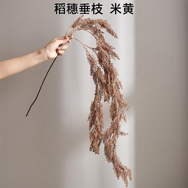 稻穗垂枝 米黄