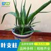 Shengwanda Simple Cable de Acero Recubierto de Plástico Bobina de Hierro Soporte para Flores Estante Trepador Accesorios Maceta Pilar de Hoja