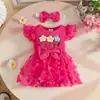 Verano Niña Dulce Sin Mangas Encaje Malla Triangular Falda Flor de Encaje para Recién Nacido Vestido de Culo