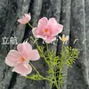 4 Cabezas de Floretes de Cosmos, Flores de Crisantemo Grandes, Decoraciones de Boda, Flores Silvestres Pastorales Frescas, Decoración del Hogar, Flores de Seda al por Mayor