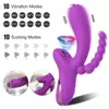 Vibrador Succión y Vibración 3 en 1 con Sonda Anal - 10 Modos de Vibración + 10 Modos de Succión, Resistente al Agua IPX6 Carga Magnética Masajeador Íntimo de Silicona para Mujeres