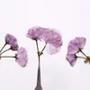 Ramas dobles de sakura, flores secas, pétalos de flores prensadas, marcapáginas de flores reales, especímenes de plantas, marcos de fotos, velas, materiales para flores prensadas DIY