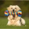 Juguete masticable para perros Rainbow Twist Candy con chirriador para rechinar los dientes, juego interactivo, resistente a las mordeduras, suministros para mascotas