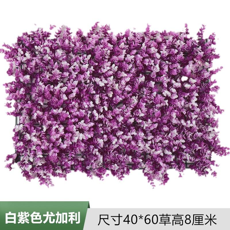 白紫色尤加利.jpg