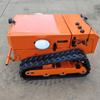 [Procesamiento y Personalización] Cortacésped Eléctrico Puro con Control Remoto de Navegación Beidou Sky50-D Cortacésped sin Conductor