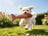 Brinquedo para Gato Auto-hi para aliviar o tédio Simulação de Peixe para Gato Gatinho Moer Dentes Erva-de-gato Peixe Gatinho Grande Gatinho Gato Vara Engraçada