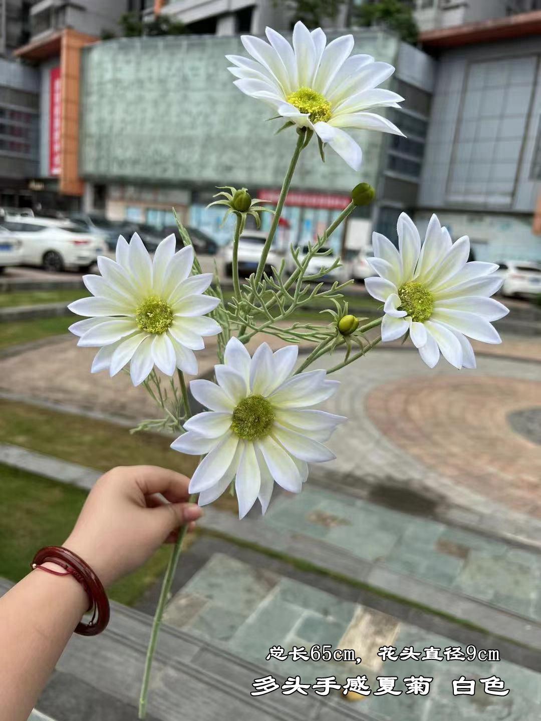 微信图片_20220612105911.jpg