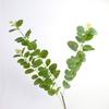 Impresión 3D Eucalipto Lujo Accesible Estilo Hoja de Dinero Flor para el Hogar Adornos de Interior Decoración de Mesa para Sala de Estar Flor Artificial Venta al por Mayor