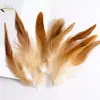 80 Tipos de Penas Naturais de Faisão, Penas Reais, Decorações Nativas Americanas, Acessórios DIY, Acessórios de Cabelo, Peças para Brinquedo de Vara para Gato