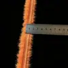 Tiras Tipo Pelo de León Danzante para Linternas Hanfu, Imitación de Piel de Visón, Transfronterizas, 1 cm, Blancas, No Sueltan Pelo, Accesorios Decorativos DIY, En Stock