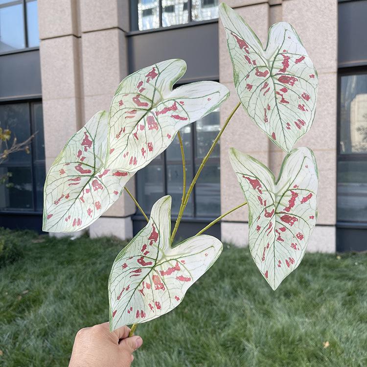 5叉彩色芋叶-7色系 深红斑绿纹白.JPG