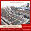 Máquina de limpeza a bolhas automática para frutas, vegetais e frutos do mar Equipamento de limpeza de impurezas por onda de vegetais Zhucheng Jide machinery
