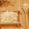 Arroz de Sorgo Fazenda 2,5kg Nordeste Heishan 6A Arroz de Sorgo Branco Arroz Novo Grãos de Sorgo Descascados Grãos Grossos Grãos Integrais Mingau