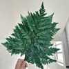 Hojas de Helecho Alpino Eterno al por Mayor del Fabricante: Hojas de Helecho Alpino Doradas, Flores Inmortales, Ramos de Flores Secas, Decoración de Bodas, Hierba Decorativa