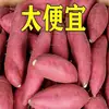 Camote con Tierra Arenosa, Castaña Pegajosa y Suave, Camote Recién Desenterrado, Pegajoso, Envío Gratis, Polvo de Camote, Súper Dulce, Sin Abrir