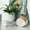 Maceta Escandinava Simple de Plástico Resina Maceta para Suculentas Rosa Galón Venta Directa de Fábrica Imitación Porcelana Rayas Rectas Maceta
