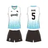 Conjunto de Uniforme de Voleibol Personalizado para Hombres y Mujeres, Uniformes de Equipo de Entrenamiento de Competición, Ropa Deportiva Profesional sin Mangas de Tenis para Estudiantes, con Texto y Números Impresos