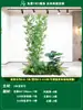 Paisagismo de Planta Artificial Varanda Arranjo de Paisagem Escada Interna Sob Árvore de Flores Artificiais Decoração Biomórfica Planta Verde Paisagismo Combinação