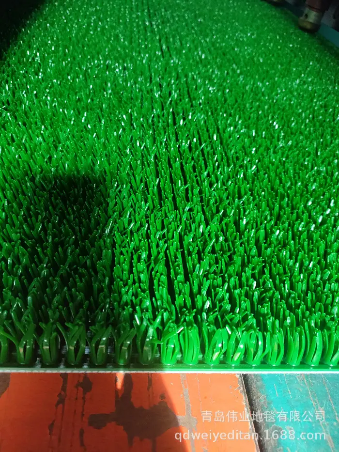 IMG20230220111556.jpg