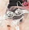 Encaje Bordado Francés Conjunto de Lencería Ultradelgado para Mujer Sexy Pecho Grande Apariencia Pequeña Sujetador Push-up Tanga Multicolor Venta al por Mayor